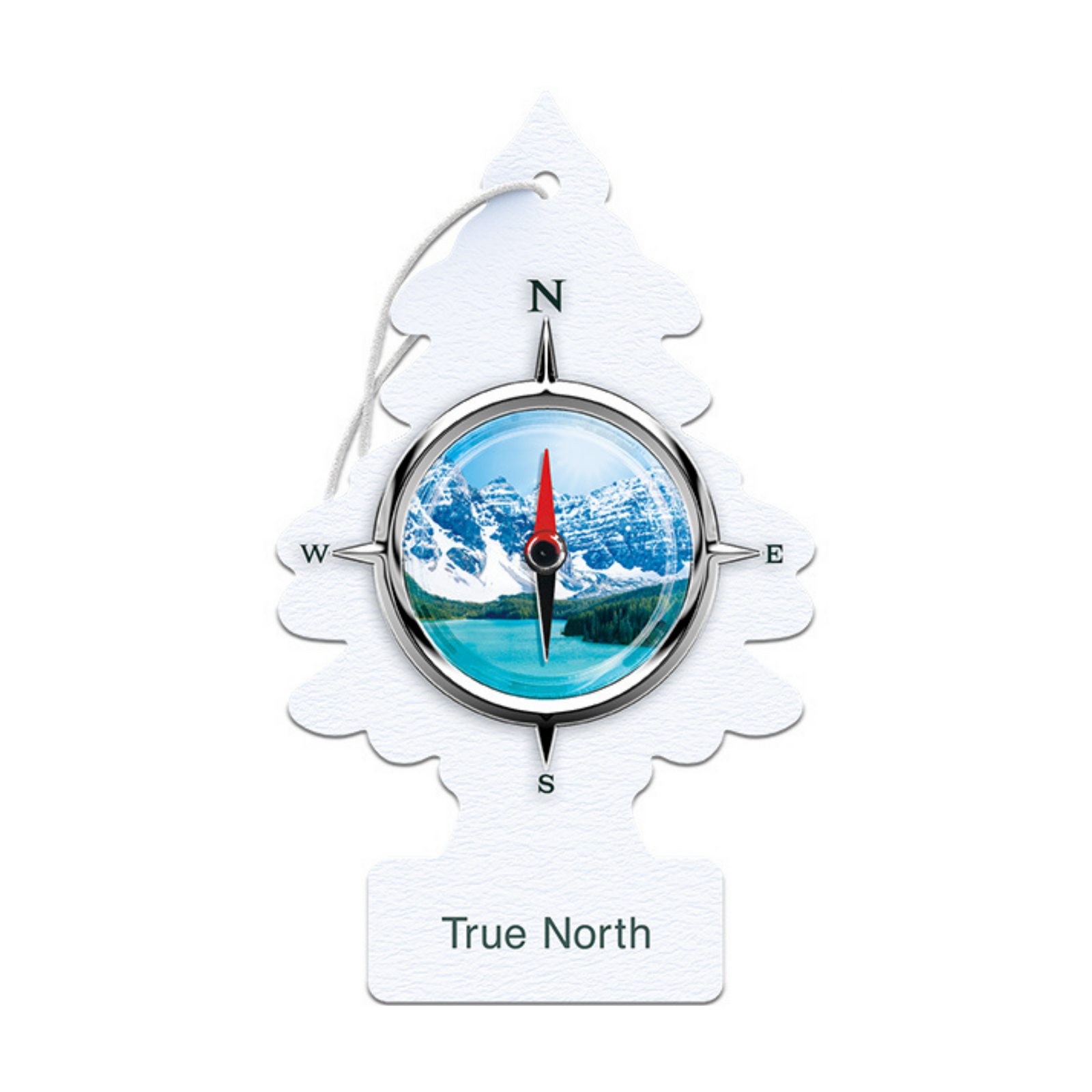 Little Trees– Hanging Air Freshener Single Pack - The New Vernon Truck Wash