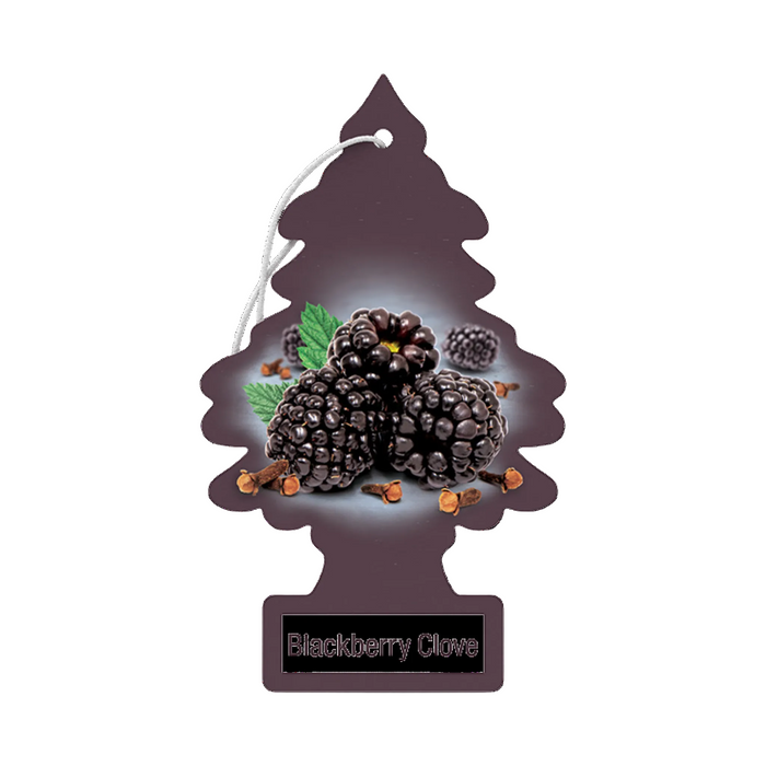 Little Trees– Hanging Air Freshener Single Pack - The New Vernon Truck Wash