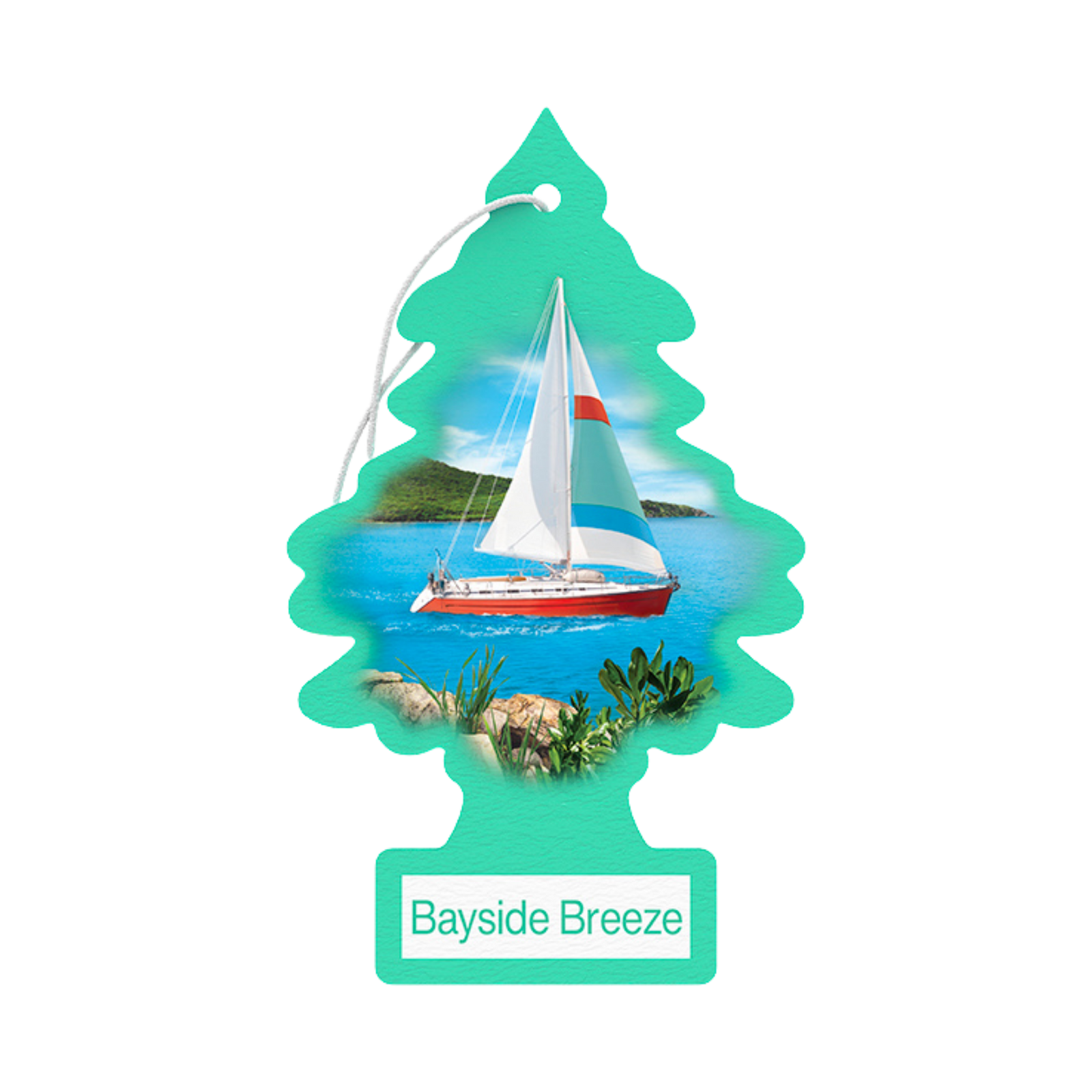 Little Trees– Hanging Air Freshener Single Pack - The New Vernon Truck Wash