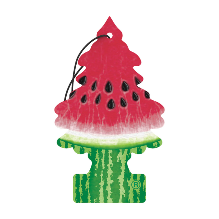 Little Trees– Hanging Air Freshener Single Pack - The New Vernon Truck Wash