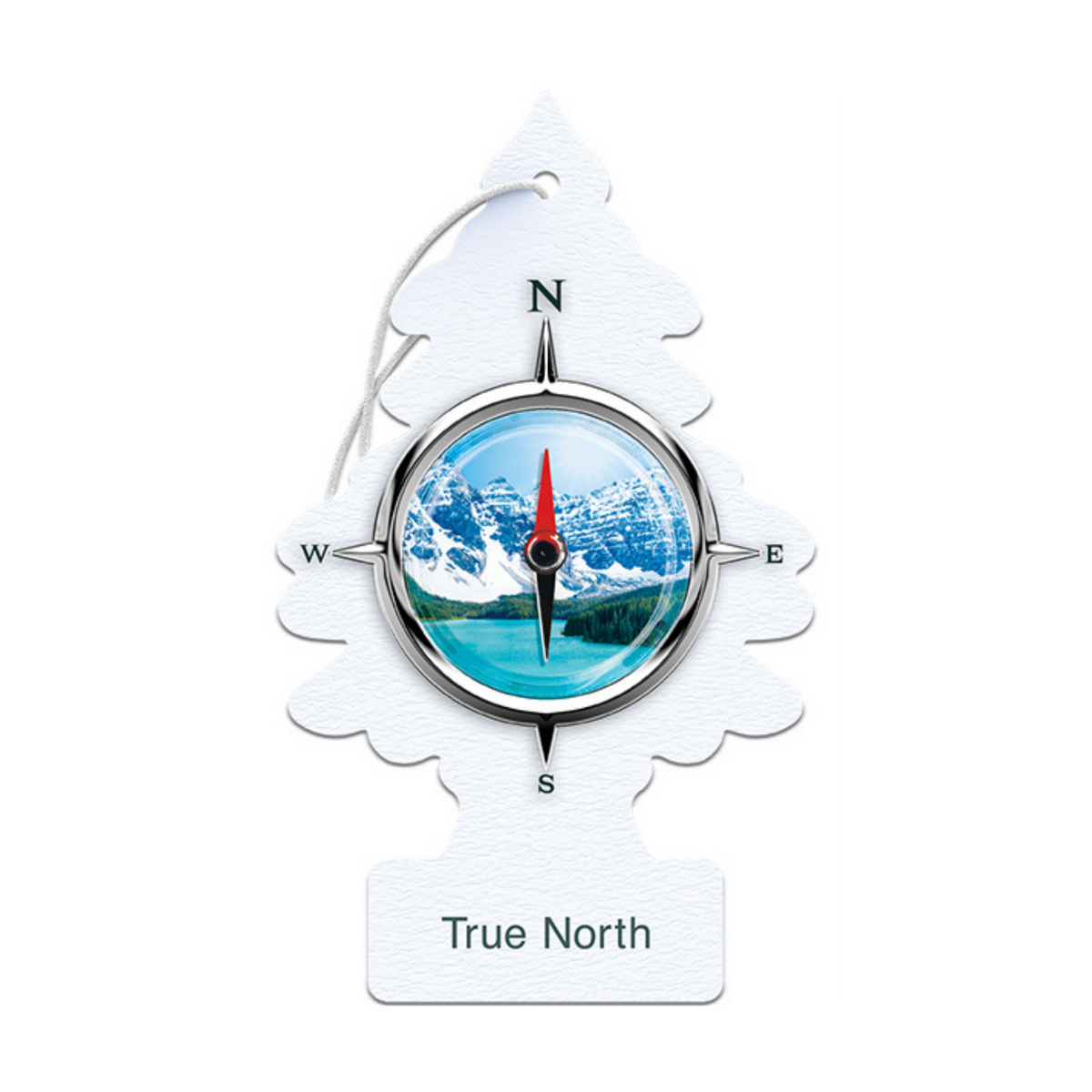 Little Trees– Hanging Air Freshener Single Pack - The New Vernon Truck Wash