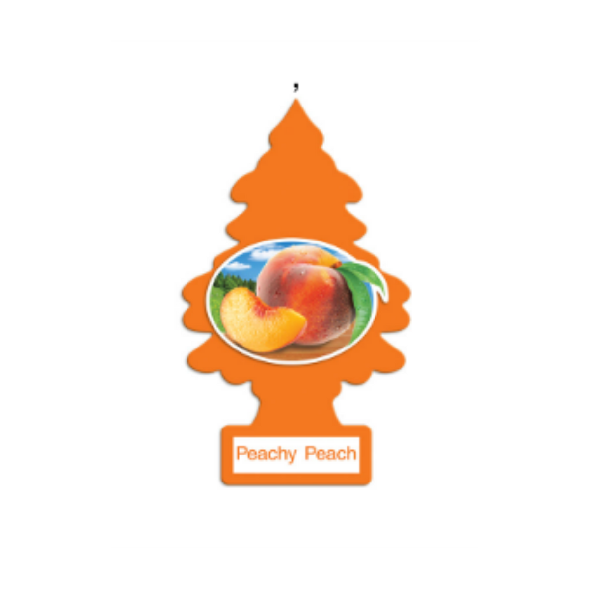 Little Trees– Hanging Air Freshener Single Pack - The New Vernon Truck Wash