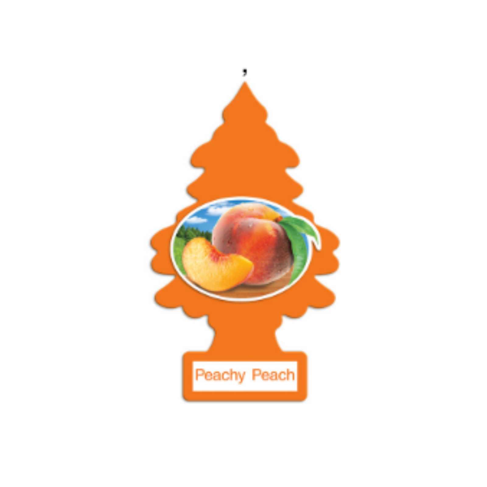 Little Trees– Hanging Air Freshener Single Pack - The New Vernon Truck Wash