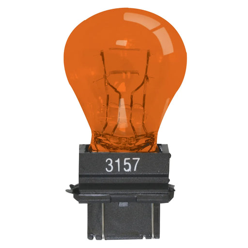 3157 Light Bulb