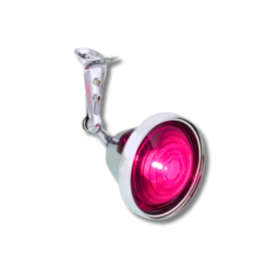 Freightliner Lighting