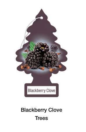 Little Trees Hanging Air Freshener – Single Pack – Long-Lasting Car & Truck Scent - The New Vernon Truck Wash