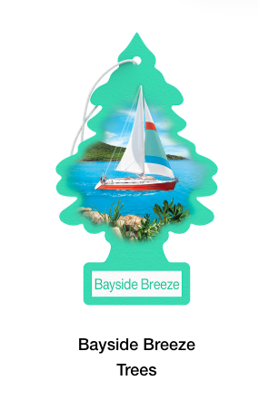 Little Trees Hanging Air Freshener – Single Pack – Long-Lasting Car & Truck Scent - The New Vernon Truck Wash