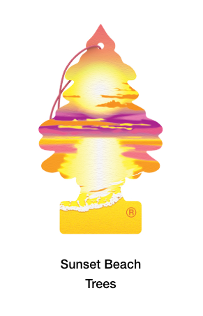 Little Trees Hanging Air Freshener – Single Pack – Long-Lasting Car & Truck Scent - The New Vernon Truck Wash