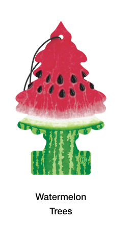 Little Trees Hanging Air Freshener – Single Pack – Long-Lasting Car & Truck Scent - The New Vernon Truck Wash