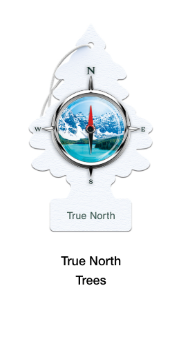 Little Trees Hanging Air Freshener – Single Pack – Long-Lasting Car & Truck Scent - The New Vernon Truck Wash