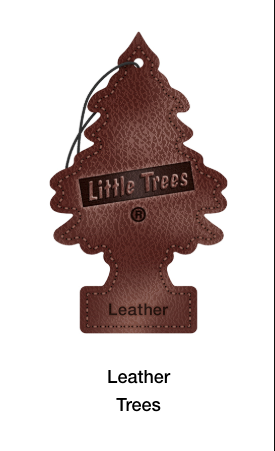 Little Trees Hanging Air Freshener – Single Pack – Long-Lasting Car & Truck Scent - The New Vernon Truck Wash