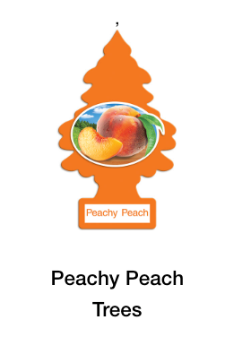 Little Trees Hanging Air Freshener – Single Pack – Long-Lasting Car & Truck Scent - The New Vernon Truck Wash