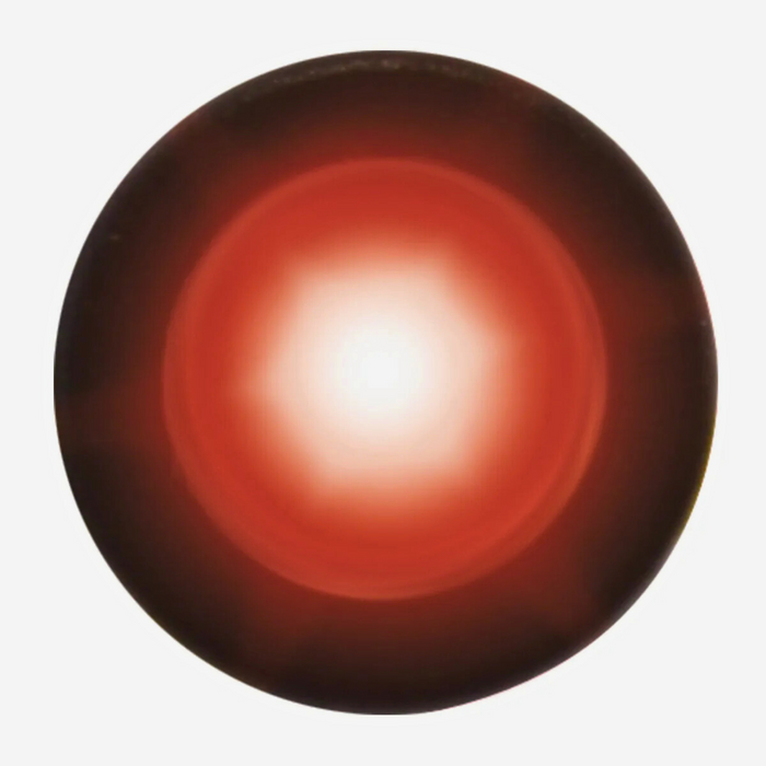 Single LED Snake Light - The New Vernon Truck Wash