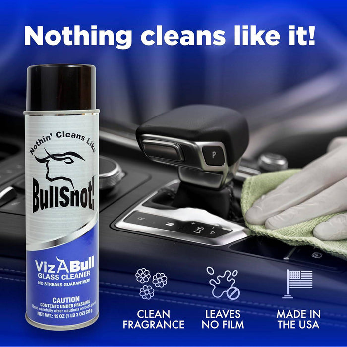 BullSnot VizABull Glass Cleaner