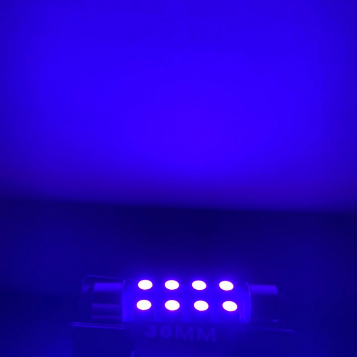 211-2 Dome Type 8 LED Light Bulb | Blue | Grand General