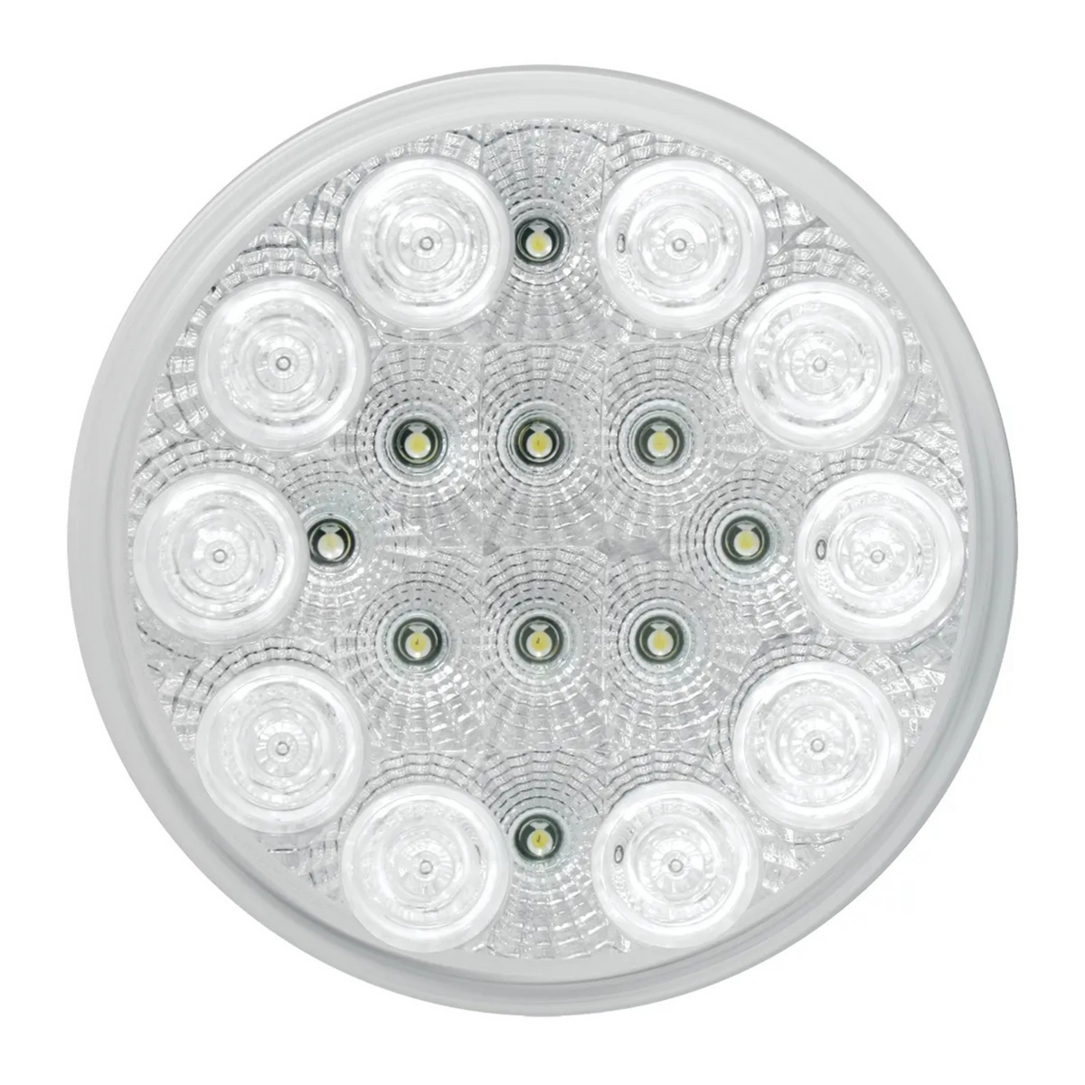 White Spyder Light | 4" | White/Clear | Grand General