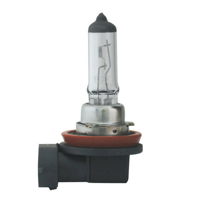 H11 Headlight Halogen Bulb | Clear Standard 55W | Grand General