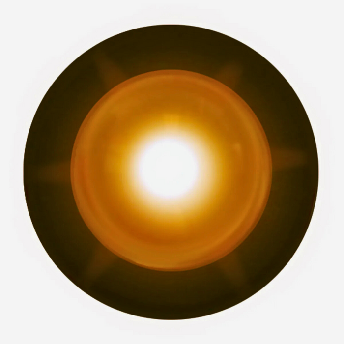 Single LED Snake Light | Amber | Grand General