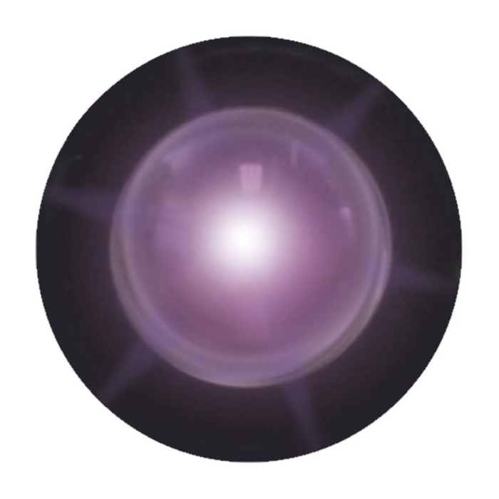 Single LED Snake Light | Purple | Grand General