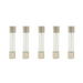 Truck and Auto Glass Fuses | Assorted AGC Fuses Mix Pack | Grand General