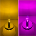 3157 Dual Color LED Bulb Amber Dark Purple | JML Kustoms