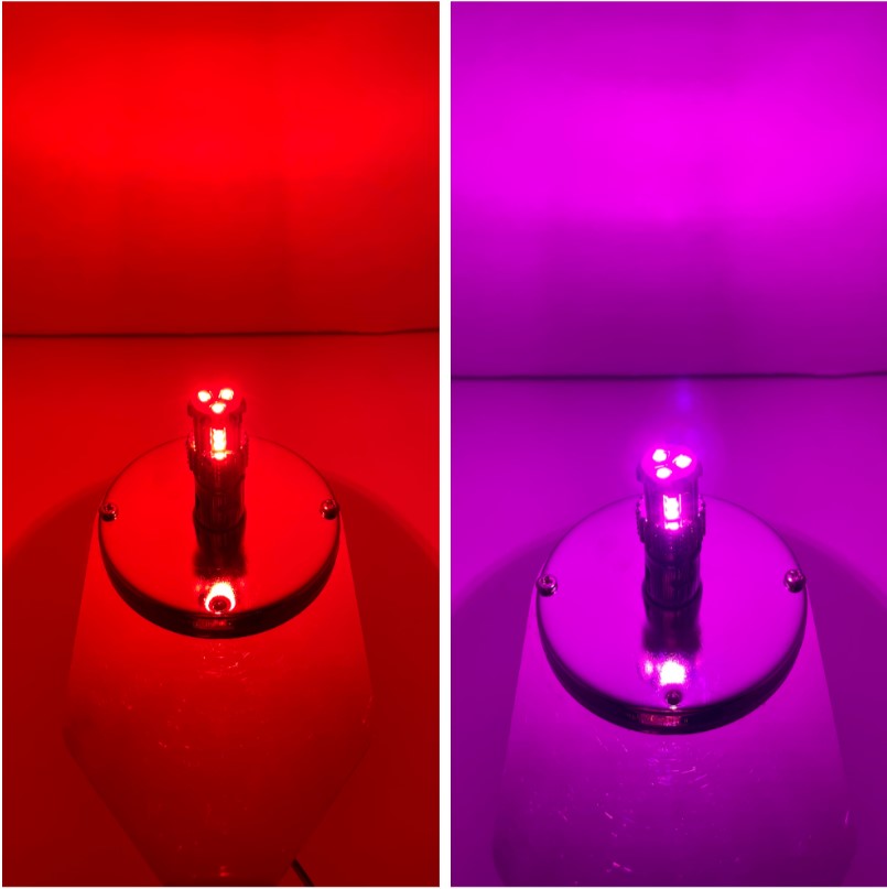 3157 Dual Color LED Bulb Red Dark Purple | JML Kustoms