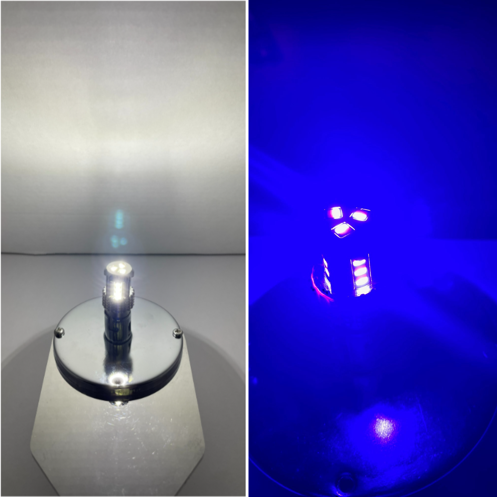 3157 Dual Color LED Bulb White Blue | JML Kustoms