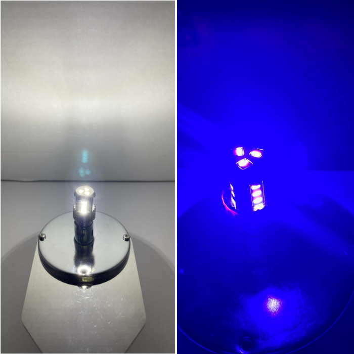 3157 Dual Color LED Bulb White Blue | JML Kustoms