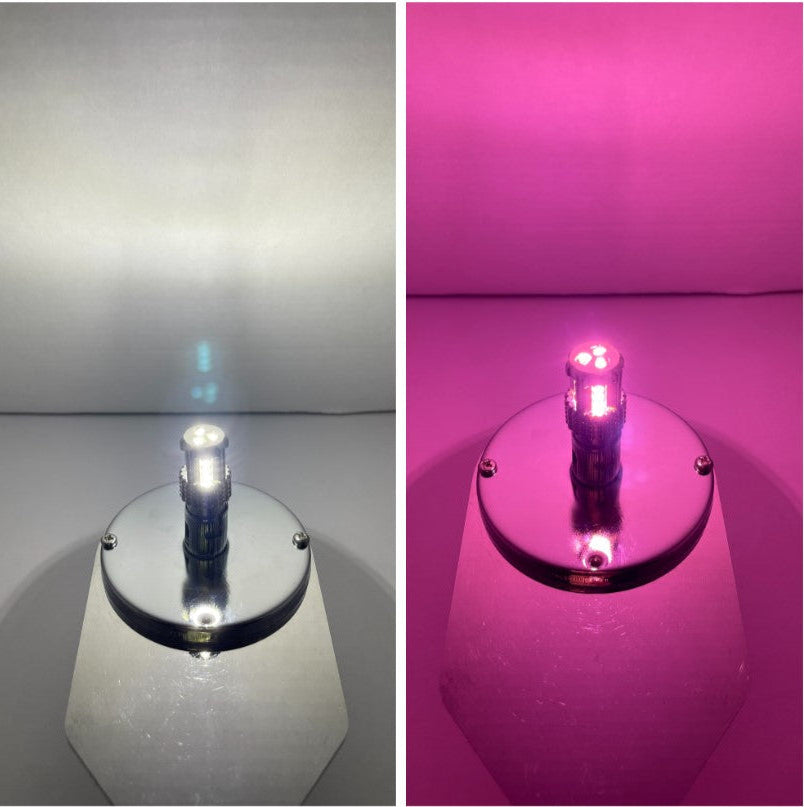 3157 Dual Color LED Bulb White Pink | JML Kustoms