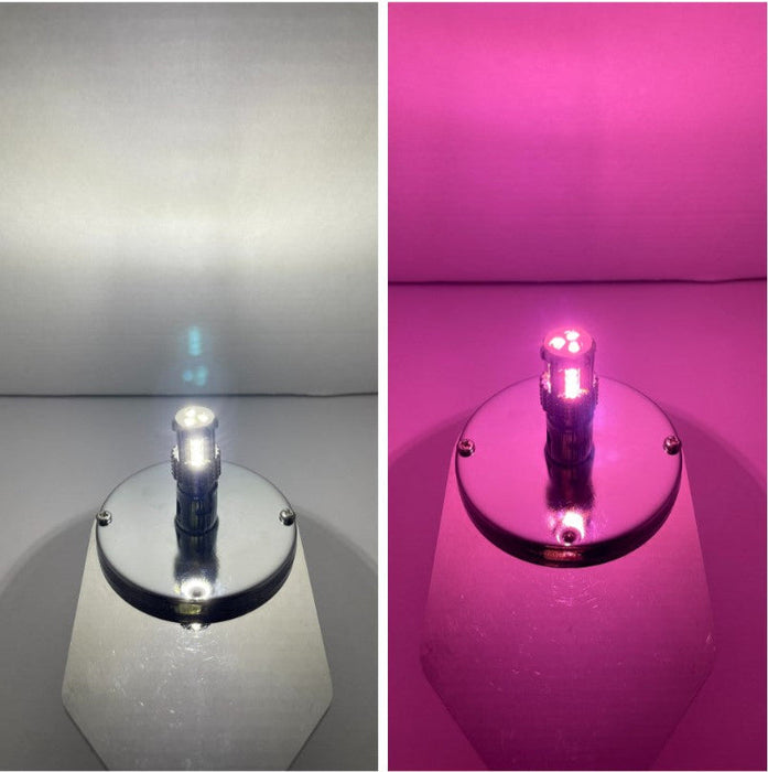 3157 Dual Color LED Bulb White Pink | JML Kustoms