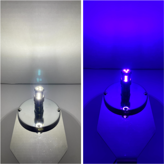 3157 Dual Color LED Bulb White Violet | JML Kustoms