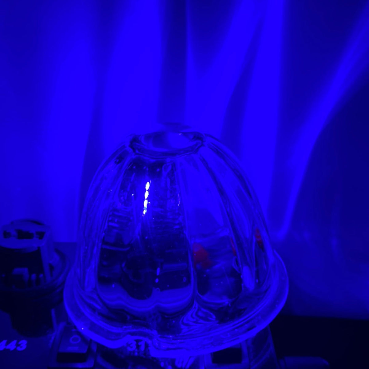 3157 LED Bulb Blue | JML Kustoms