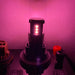 3157 LED Bulb Pink | JML Kustoms