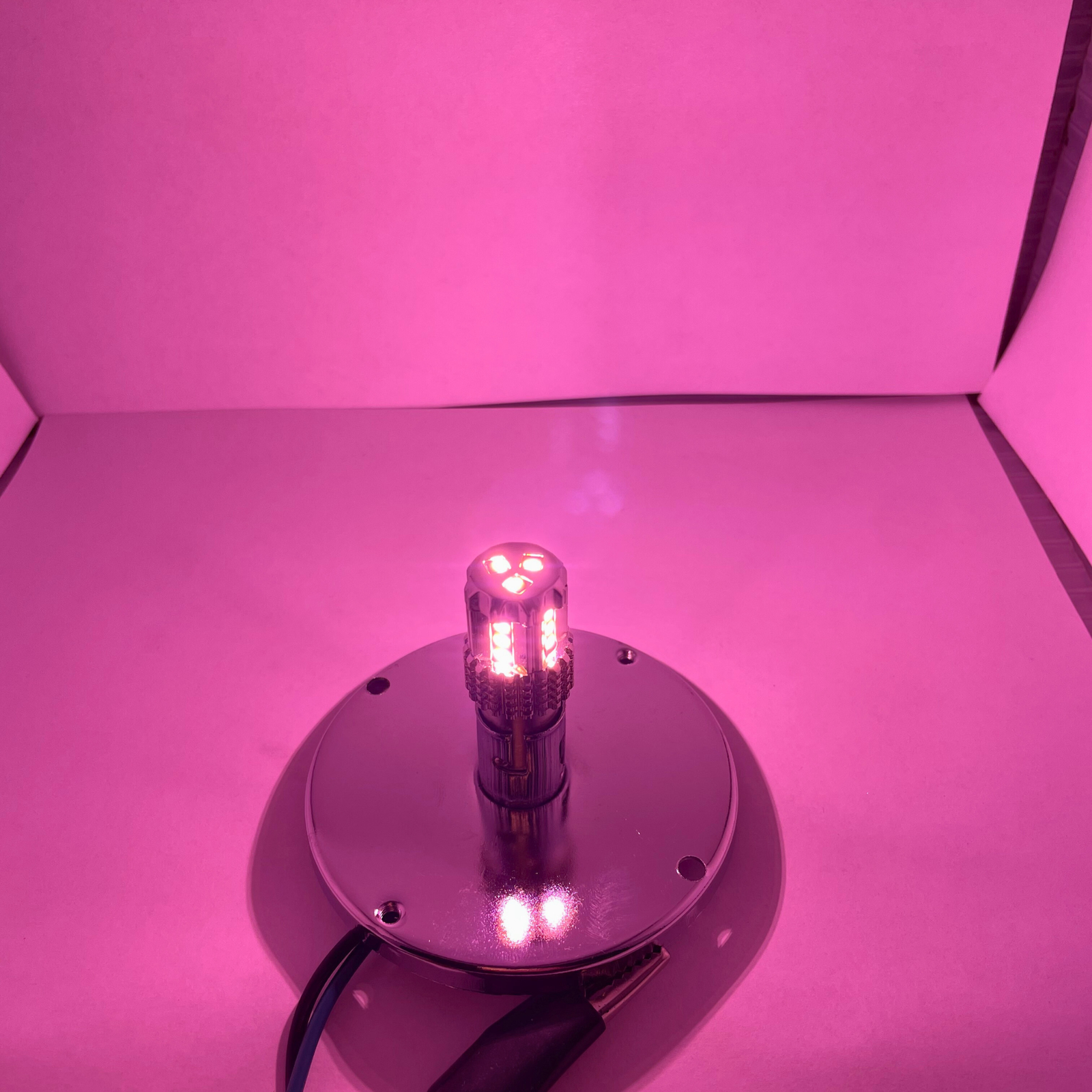 Classic 1156 LED Bulb Pink | JML Kustoms