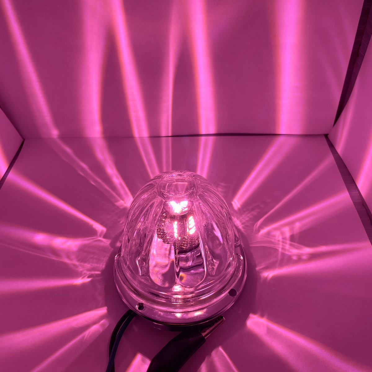 Classic 1156 LED Bulb Pink | JML Kustoms