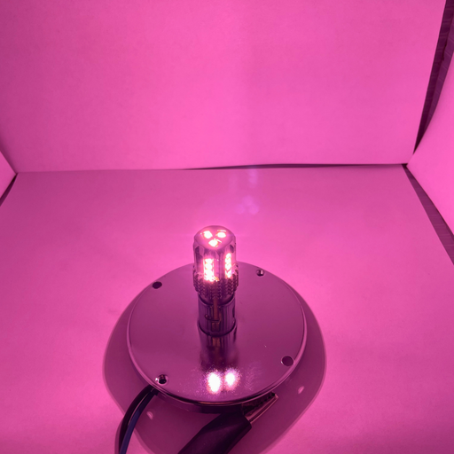 Classic 1157 LED Bulb Pink | JML Kustoms