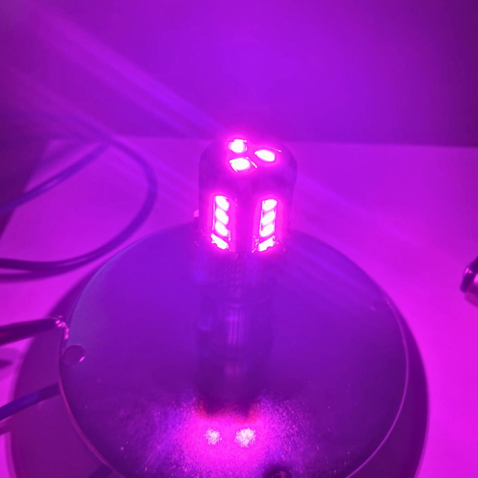 Classic 1157 LED Bulb Purple | JML Kustoms