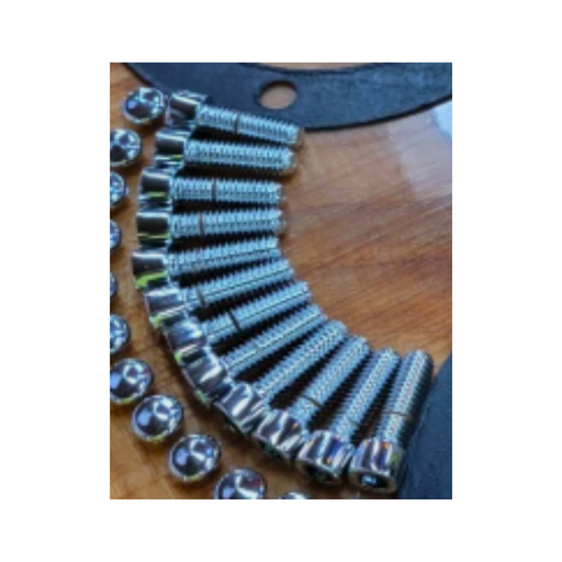 Stainless Replacement Screw for Hub Oiler Cap Sold Individually | Life Time Nut Covers