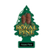 Hanging Air Freshener | Royal Pine | Little Trees