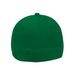 Flex Fit Hat in Green | The New Vernon Truck Wash