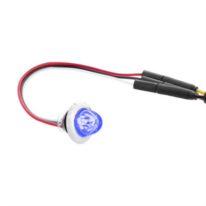 Dual Function Mini Watermelon LED Light Blue Clear | United Pacific