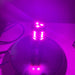 Jml Led - 1157 Led Bulb Purple