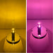 Classic 1157 Dual Color LED Bulb Amber Pink | JML Kustoms