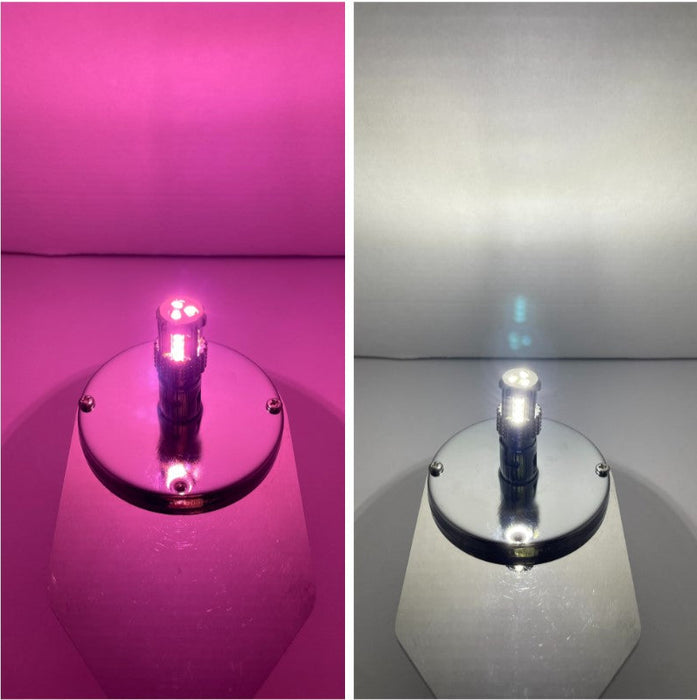 Classic 1157 Dual Color LED Bulb Pink White | JML Kustoms