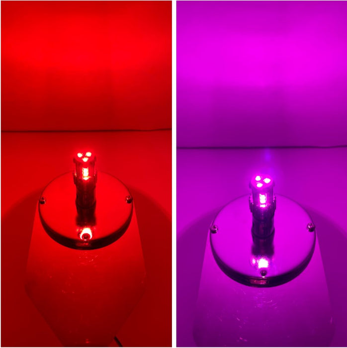 Classic 1157 Dual Color LED Bulb Red Dark Purple | JML Kustoms