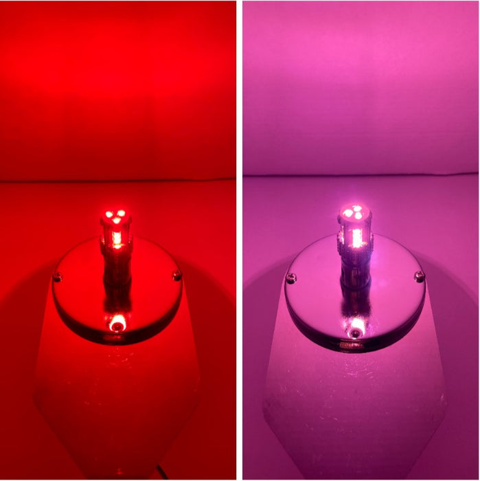 Classic 1157 Dual Color LED Bulb Red Pink | JML Kustoms